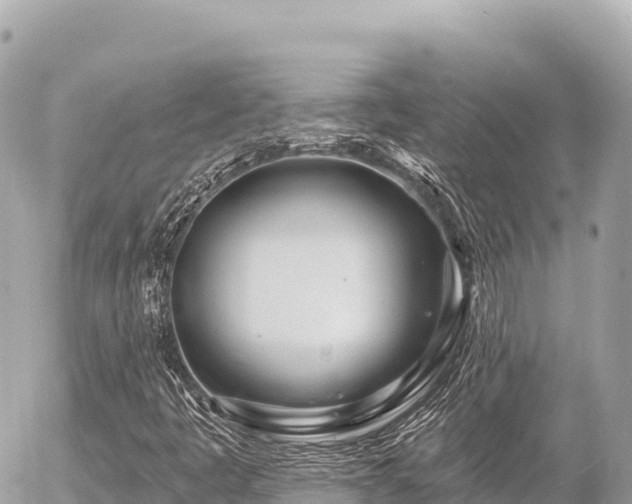 X0000056011445200508261803