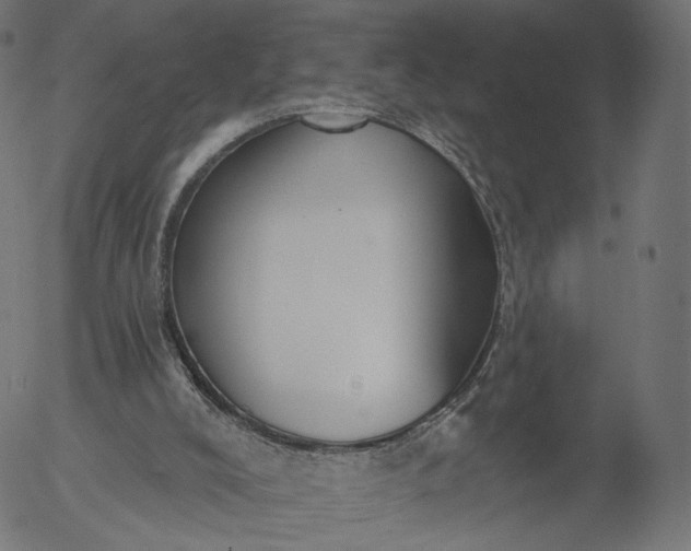X0000056010008200509021742