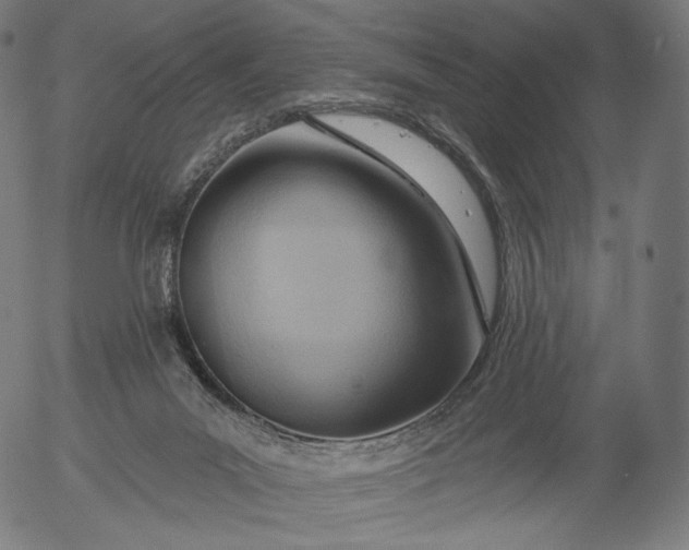 X0000056010023200509021741