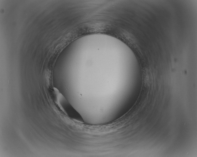 X0000056010026200509021741