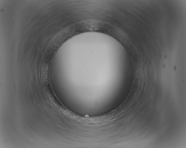 X0000056010030200509021741