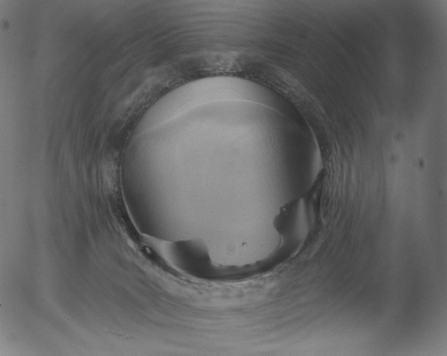X0000056010035200509021741