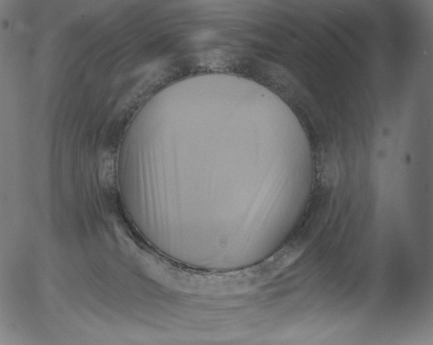 X0000056010036200509021741