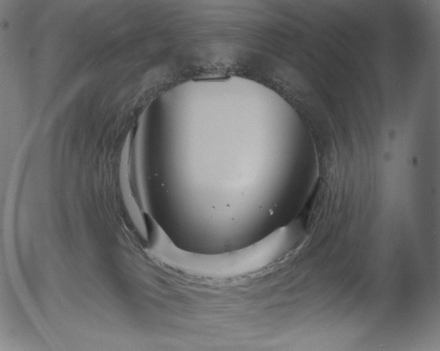 X0000056010037200509021741