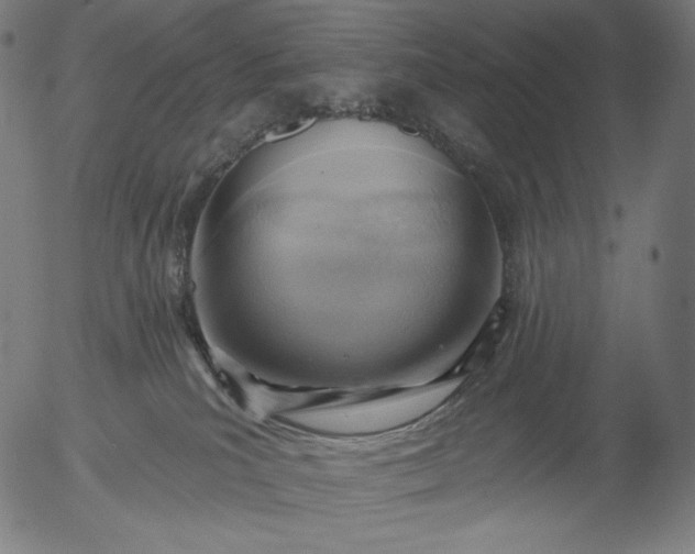 X0000056010039200509021741
