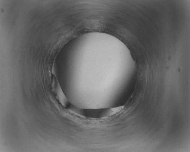 X0000056010040200509021741
