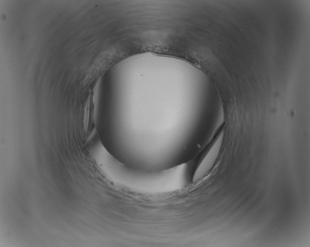 X0000056010041200509021741