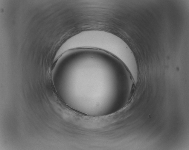 X0000056010045200509021741