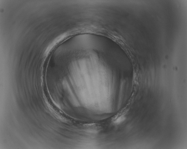 X0000056010054200509021740