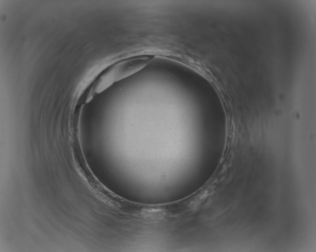 X0000056010055200509021740