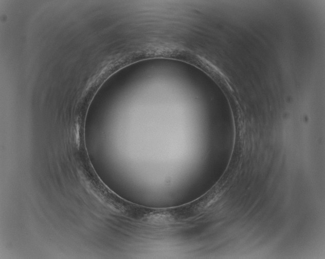 X0000056010067200509021741