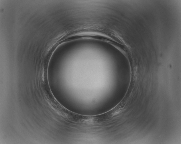 X0000056010068200509021741