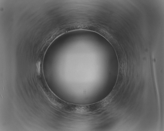 X0000056010070200509021741