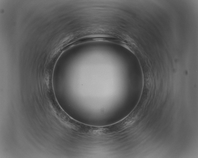 X0000056010072200509021741