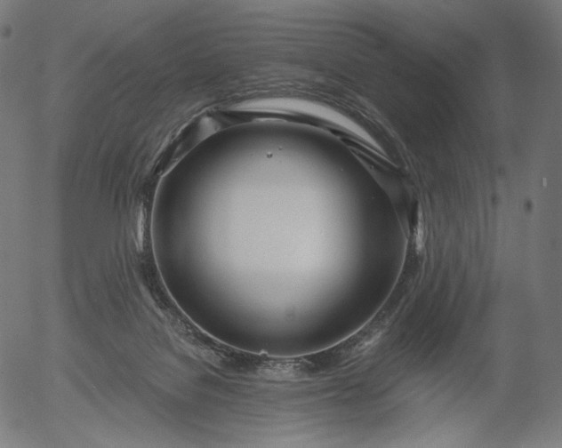 X0000056010076200509021741