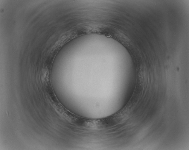 X0000056010079200509021741