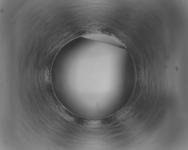 X0000056010081200509021741