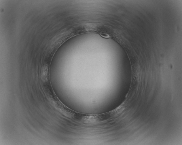X0000056010082200509021741