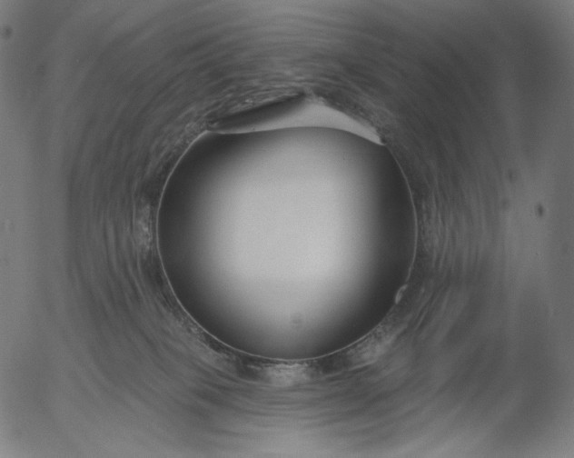X0000056010085200509021741
