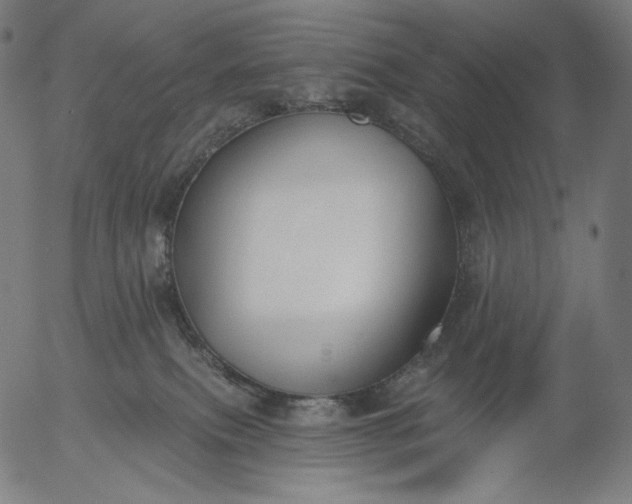 X0000056010087200509021741