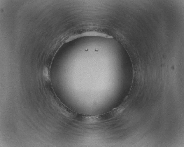 X0000056010089200509021741