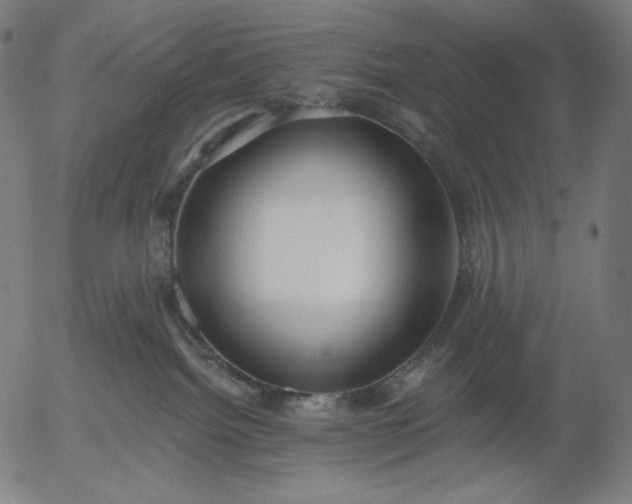 X0000056010092200509021741