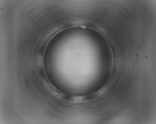 X0000056010093200509021741