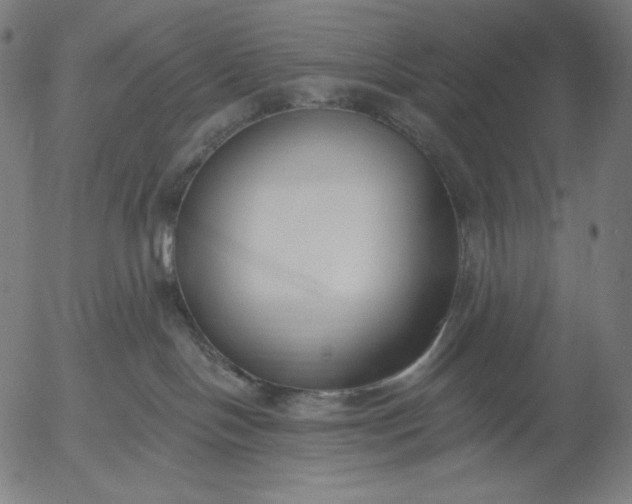 X0000056010094200509021741