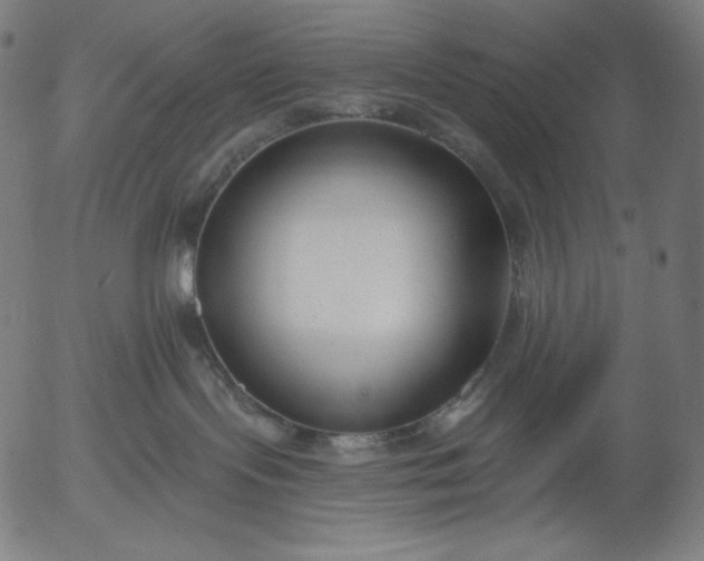 X0000056010095200509021741