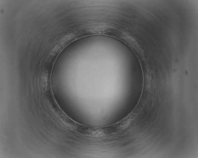 X0000056010113200509021740