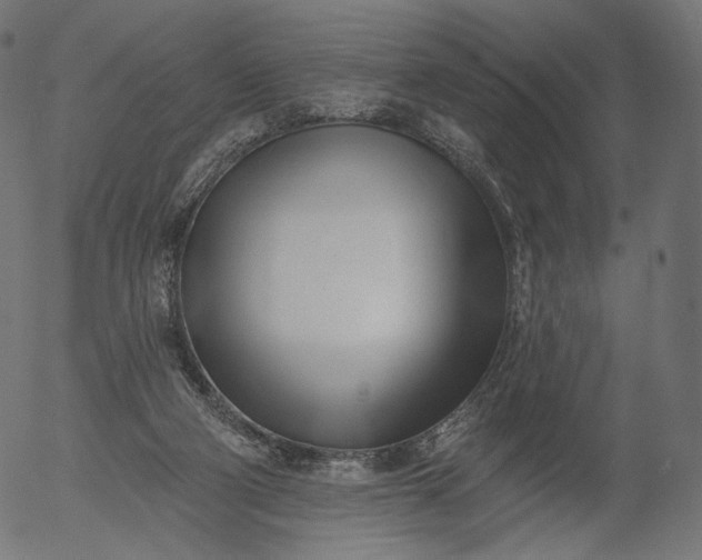 X0000056010114200509021740