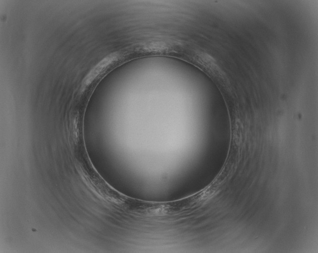 X0000056010116200509021740
