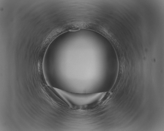 X0000056010117200509021740