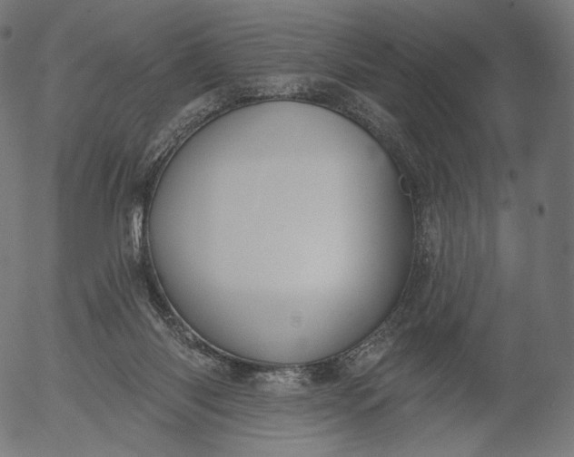 X0000056010118200509021740