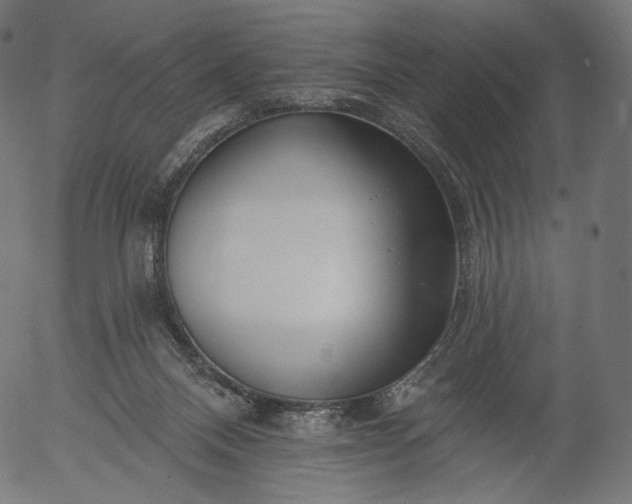 X0000056010120200509021740