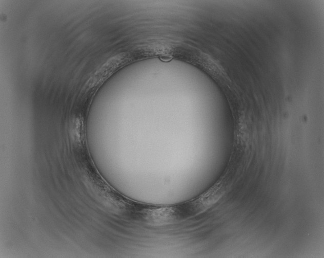 X0000056010122200509021740