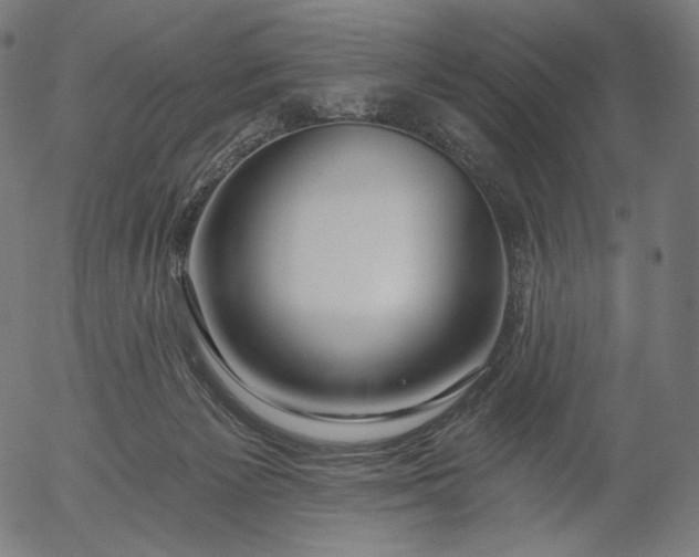 X0000056010125200509021740