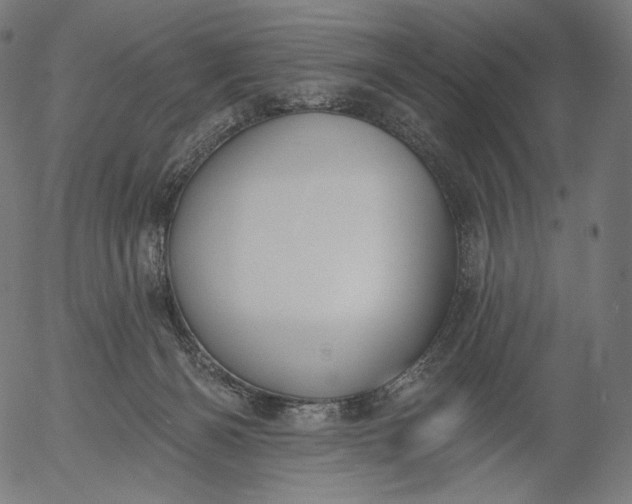 X0000056010126200509021740