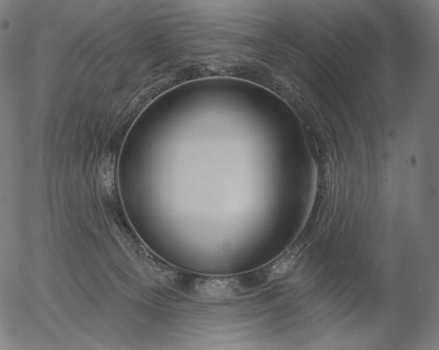 X0000056010129200509021740