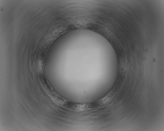 X0000056010130200509021740