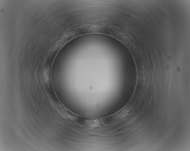 X0000056010131200509021740