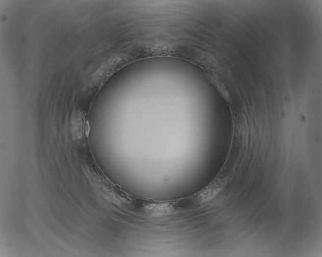 X0000056010133200509021740