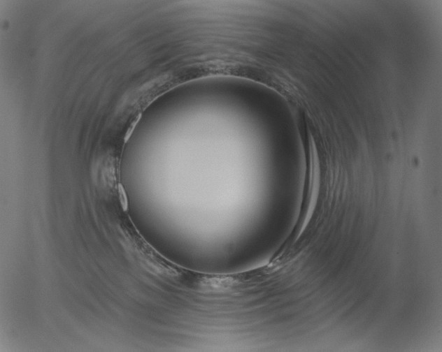 X0000056010137200509021740