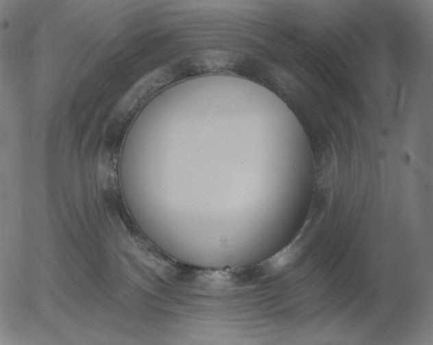 X0000056010140200509021739