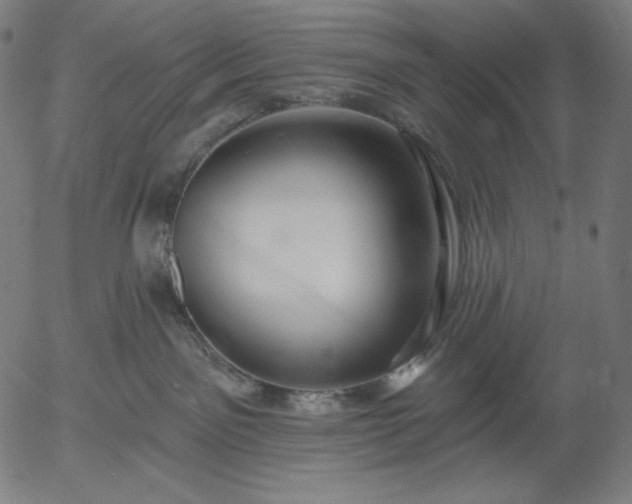 X0000056010141200509021739
