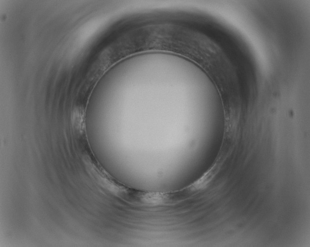 X0000056010142200509021739