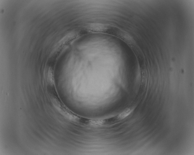 X0000056010143200509021739
