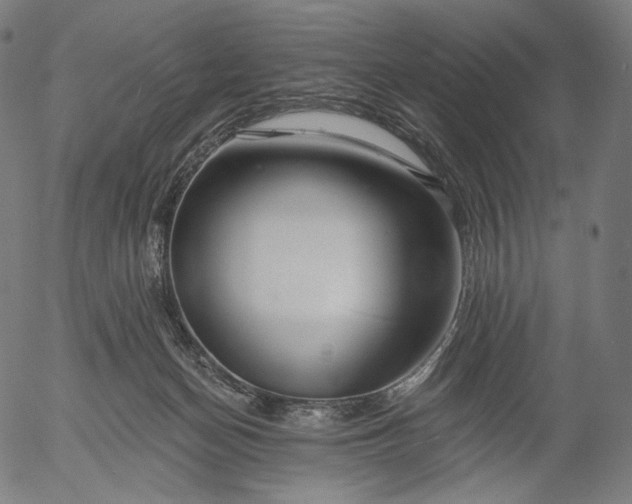 X0000056010174200509021739