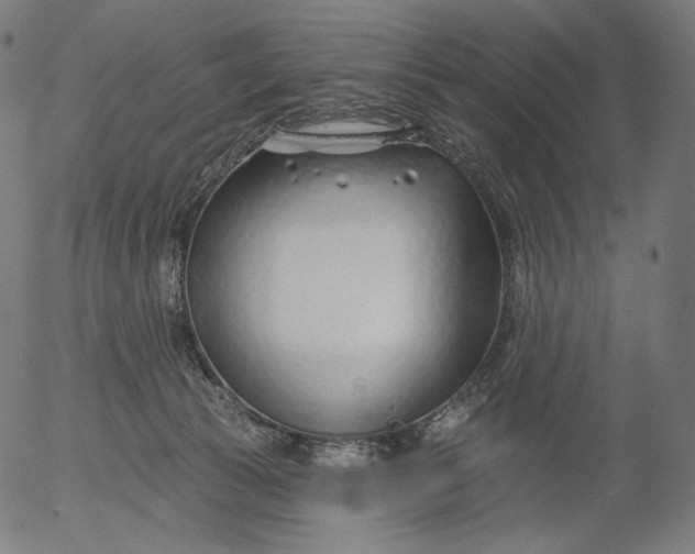 X0000056010177200509021739