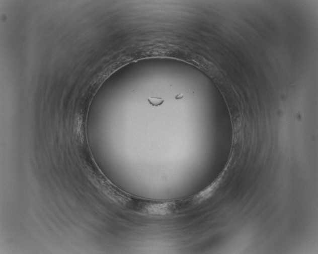 X0000056010178200509021739